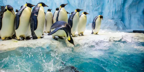 珠海長隆度假區