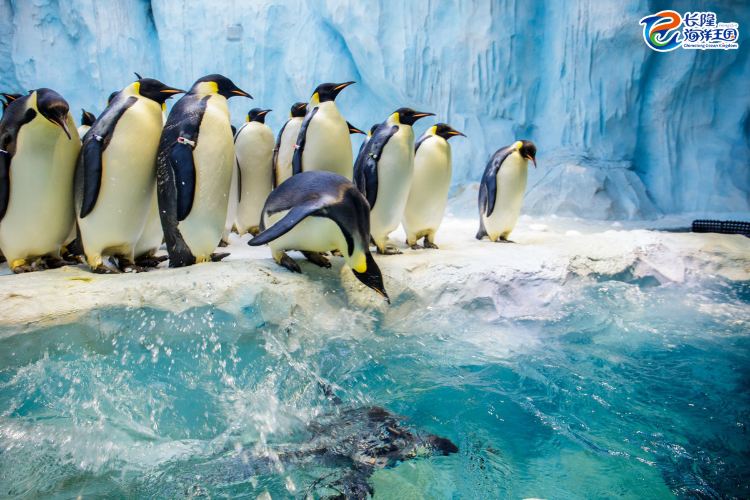 Zhuhai Chimelong Resort