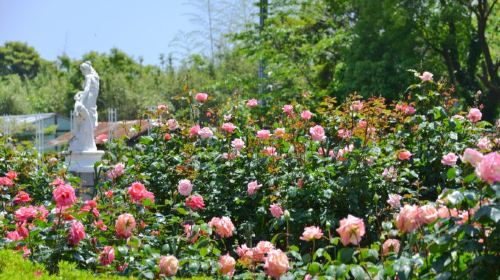 九十九島動植物園