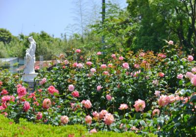 Kujukushima Zoo & Botanical Gardens Mori Kirara