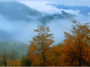 대웅산 국립삼림공원