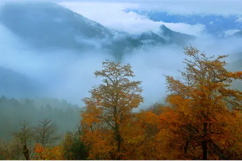 Daxiong Mountain National Forest Park
