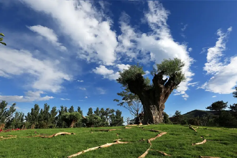 Xiaochuanxiangye Park