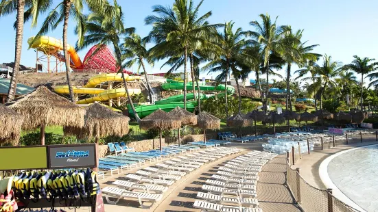 Wet 'n' Wild Hawaii