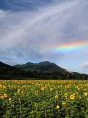 廬山博陽河生態休閒風景區