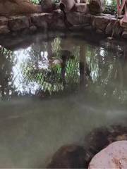 Jiari Hot Spring