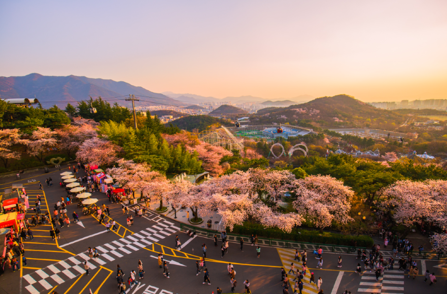 Haikou to Daegu Flights