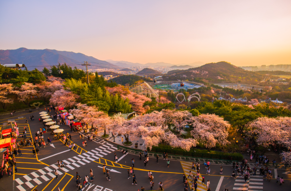 tiket pesawat Jeju ke Daegu