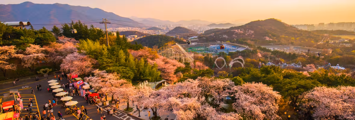 부산 대구 항공권