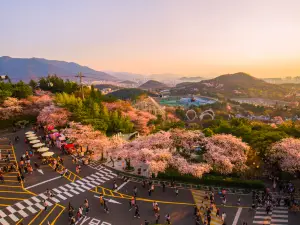 Popular Best Things to Do in Daegu