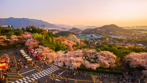 Daegu travel destination