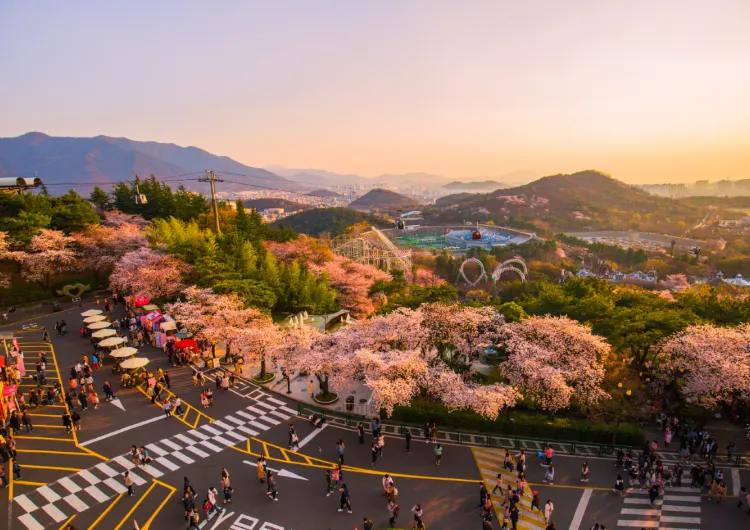 【釜山から大邱】2025大邱 鉄道旅行完全ガイド：釜山出発で大邱の美景を探索
