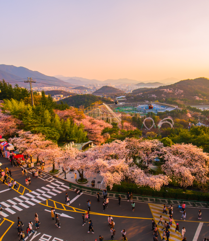 350q16000001074utE976_R_670_79