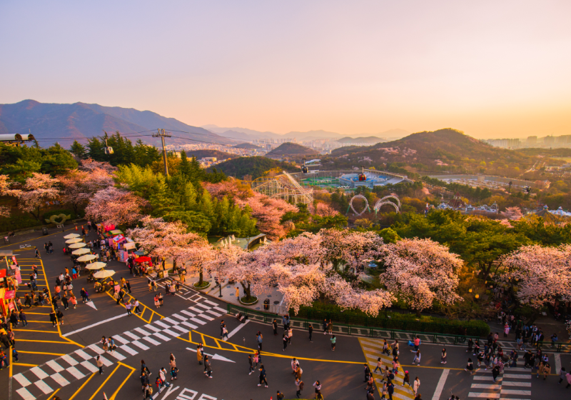 【首爾去大邱】2026大邱火車旅行全攻略：從首爾出發，探索大邱美景