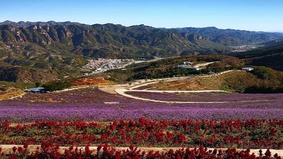 Xinglong