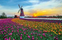 Jiuyuan Baiguo Garden