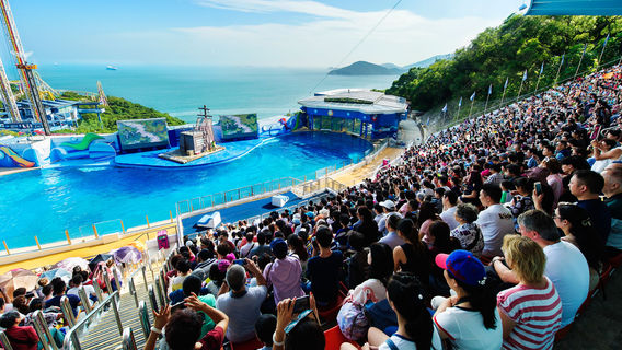 Hong Kong