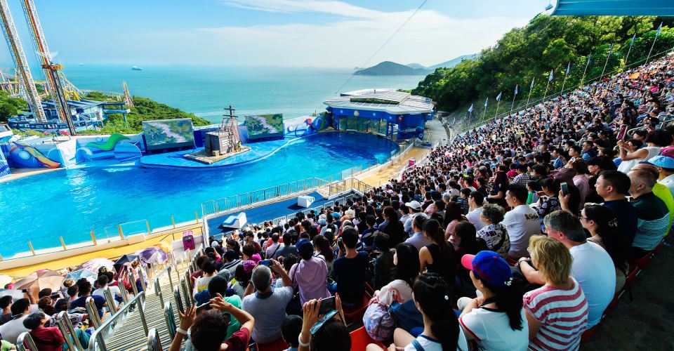Hong Kong Ocean Park - Cross-Border Transfer [Transfer services to/from Macau, Shenzhen, Zhuhai, Guangzhou, Foshan, Zhongshan, Dongguan, Zhaoqing, Jiangmen, Yangjiang, Maoming, etc.]