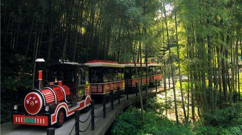 Nanshan Bamboo Sea