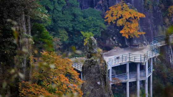 羊獅慕風景區