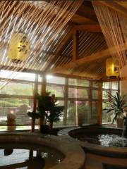 Hengjian (Ever Healthy) Country Garden Hot Spring City for Well-being and Tourism