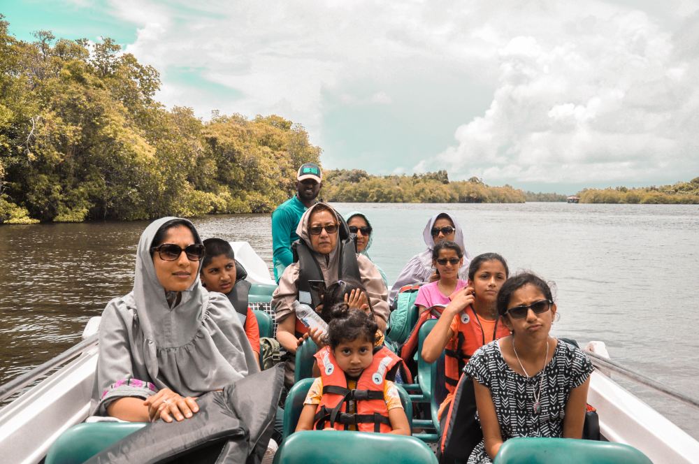 Galle City Madu River And Kosgoda Turtles Hatchery From Galle Private Half Day Tour Trip Com