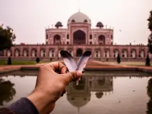 8 Hour: Best of Old & New Delhi Tour