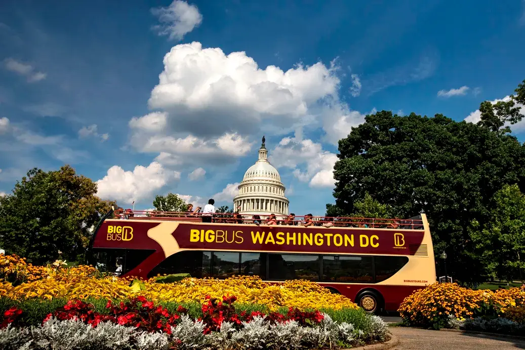 2_Big Bus Tours Washington D.C.