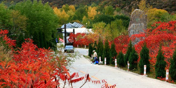 Yesanpo White Grass Scenic Area