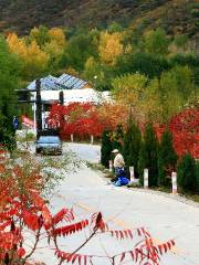 Yesanpo White Grass Scenic Area