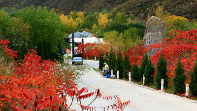 Yesanpo White Grass Scenic Area