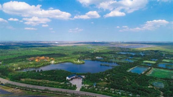 Shouguang Forest Ecological Expo Park