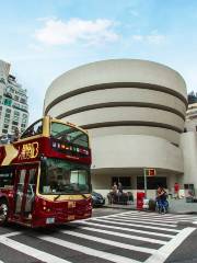 Big Bus Tours New York