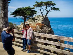 Monterey & Carmel Explorer