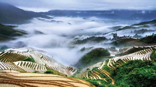 Longji Rice Terrace