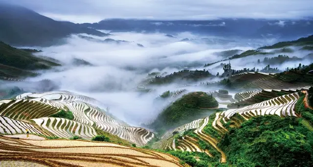 Terraced Fields Viewing in Longsheng