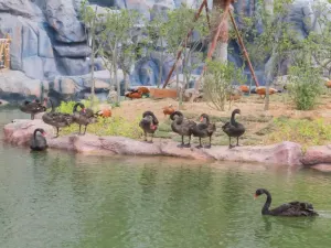 융홍 야생동물 세계