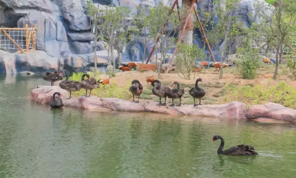 5_Yonghong Wild Animal World