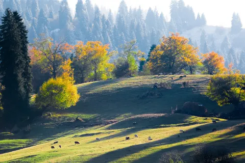 Narat Scenic Spot
