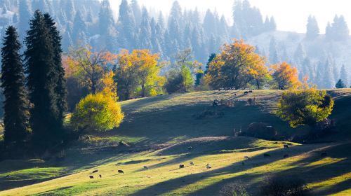 Nalati Scenic Area