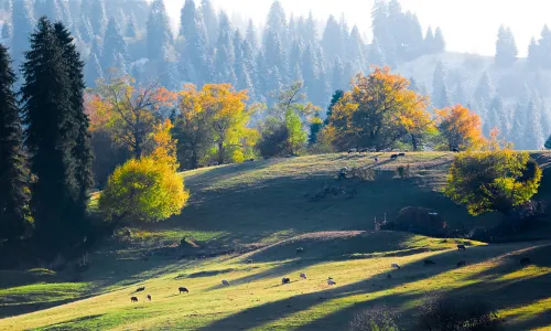 Narat Scenic Spot