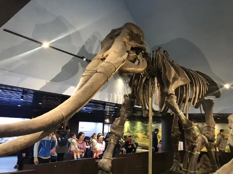 Hotels in der Nähe von Paleozoological Museum of China