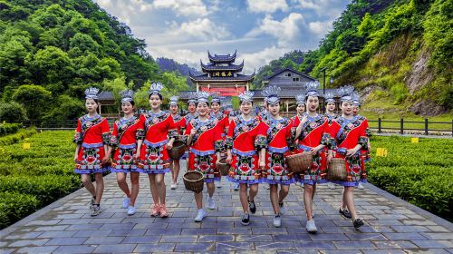 辰龍關茶旅融合產業園