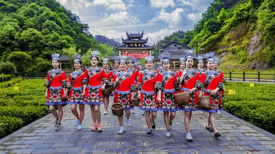 辰龍關茶旅融合產業園