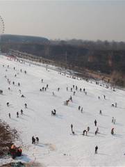 奧斯陸滑雪場