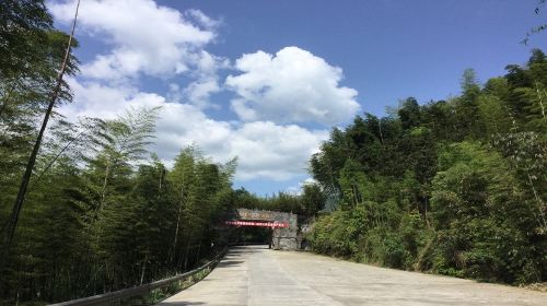 Western Bamboo and Stone Forest