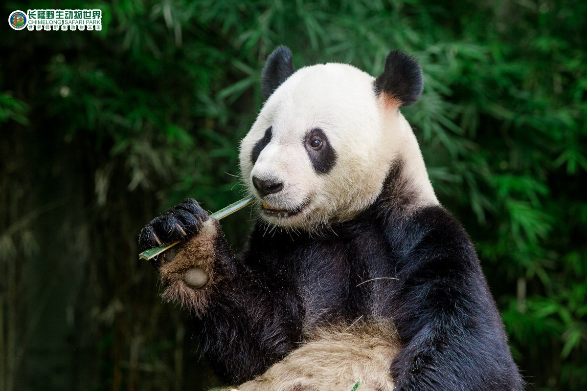 Must-see Attractions
