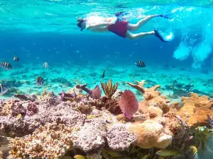 Pearl Island Escape with Snorkeling Experience and Lunch