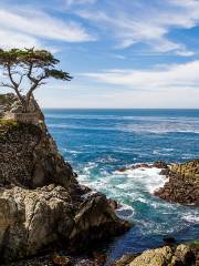 Baia di Monterey