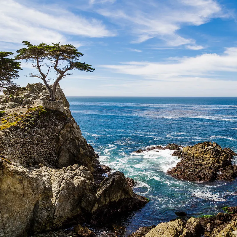 Monterey Bay